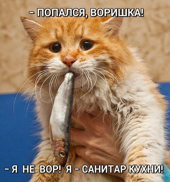   - 6  2015  20:35