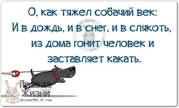  - 20  2015  11:07
