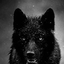 ���� ������, ������ �����, 38 ��� - ��������� 29 ������� 2015 � ������ ������ ��������