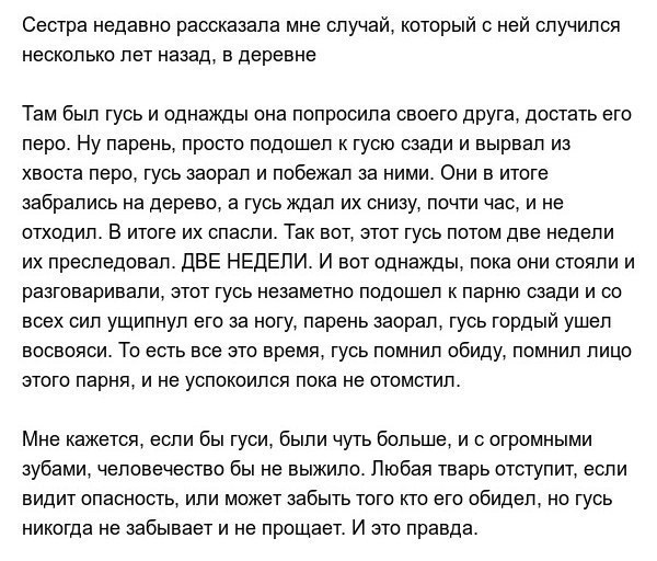 Самая опасная тварь на земле | Наука и Техника | Фотострана | Пост ...