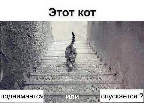   - 3  2016  23:15