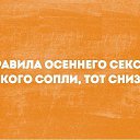 ���� ��������, ����� - ��������� 29 �������� 2015 � ������ ������ ��������