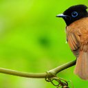  ••,  -  31  2015   