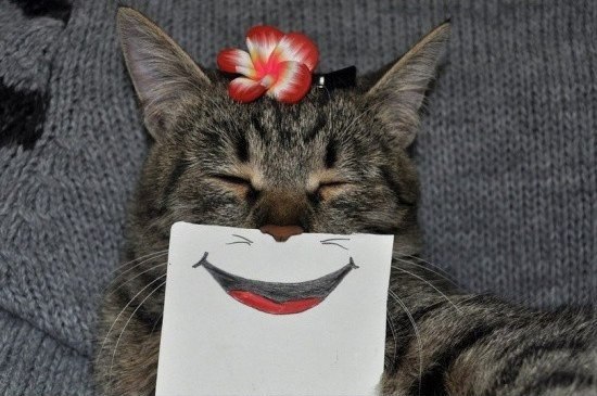   ,     : - 3