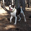 ���� ������, ���� - ��������� 14 ������� 2015 � ������ ���� ����������