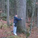 ���� �������, ���������, 57 ��� - ��������� 5 ������� 2015 � ������ ���� ����������