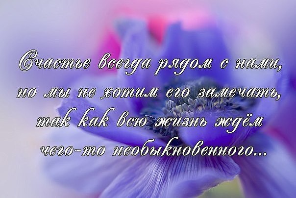  ,   C...     -  , ...