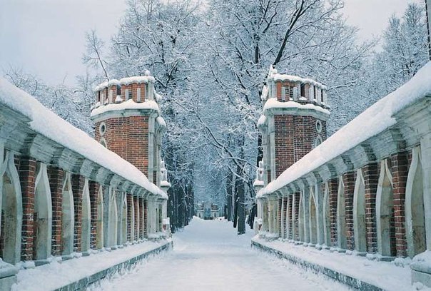 Нескучный сад зимой фото