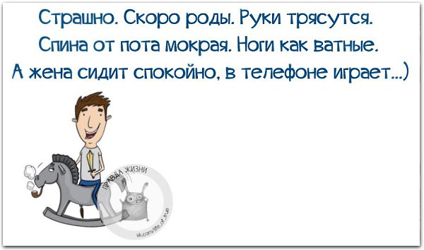   - 24  2016  15:15