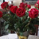 ���� �������, ����� - ��������� 28 ������ 2015 � ������ ������ ��������