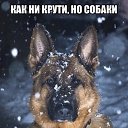 ���� �������, ������ ��������, 46 ��� - ��������� 30 ������ 2016 � ������ ���� ����������