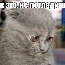 ���� Vova, ����� - ��������� 14 ������ 2015 � ������ ���� ����������