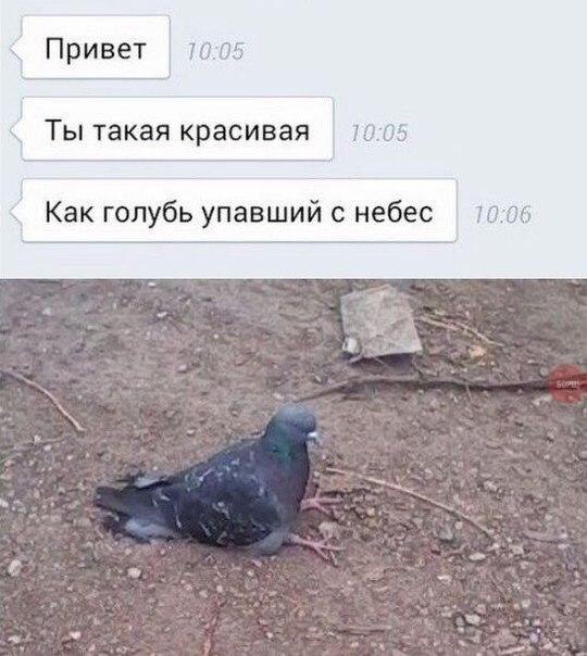   - 27  2015  23:08