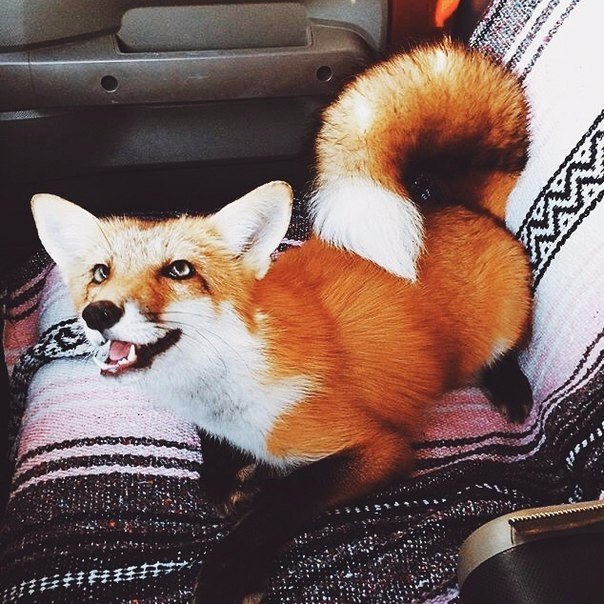 Fashion Club - 30  2016  21:44 - 2