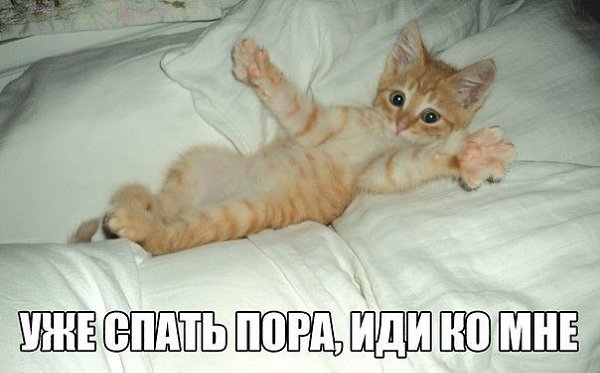   - 29  2016  17:57
