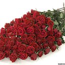 ���� Stefa, ���� - ��������� 20 ������ 2015 � ������ ������ ��������