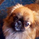 ���� �������, ������-��-����, 34 ���� - ��������� 28 ������� 2016 � ������ ������ ��������