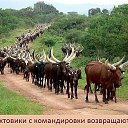 ���� �����, ������, 57 ��� - ��������� 5 ������ 2016 � ������ ������ ��������