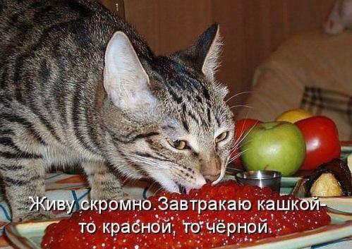    - 7  2015  06:16