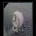 ���� �������, �����, 62 ���� - ��������� 25 ������ 2016 � ������ ������ ��������