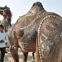 ���� Aleks, ����� ������� - ��������� 12 ������� 2015 � ������ �HORSES�