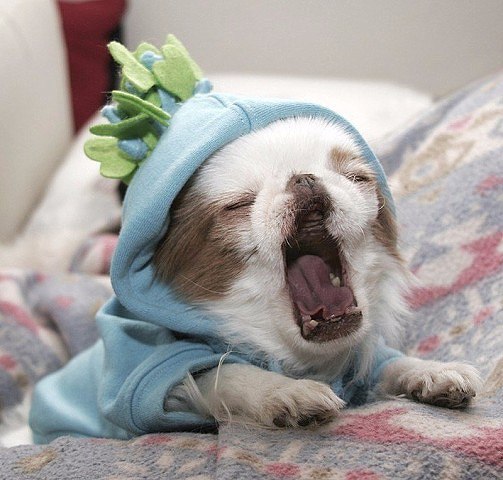 *TIRED* *TIRED* *TIRED*    ! - 7
