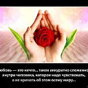 ���� ���������, ������������, 40 ��� - ��������� 3 ������ 2016