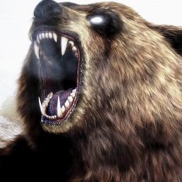 ������, ������, 40 ���