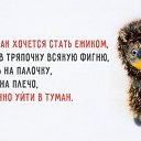  , , 64  -  24  2015    