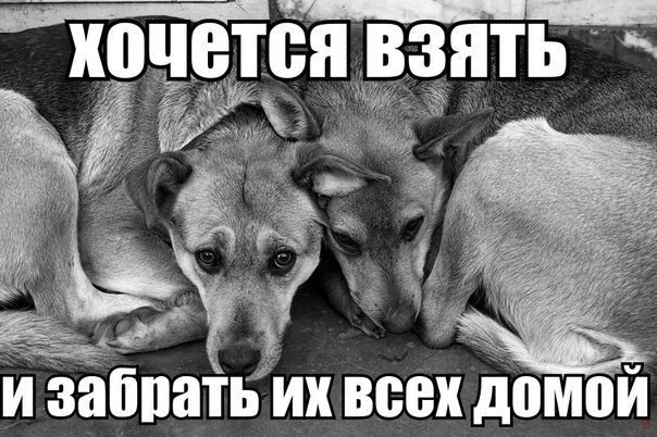  ,  .© - 8  2015  01:07