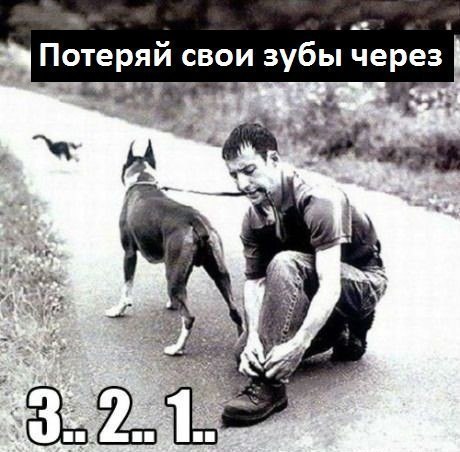 -  - 21  2016  04:39