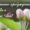 ���� �������, ����, 53 ���� - ��������� 9 ����� 2016 � ������ �������� ��������