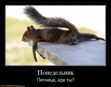 ������ - 28 �������� 2015 � 03:42