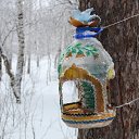  , , 69  -  8  2016   .  