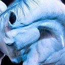 ���� ������, �����������, 52 ���� - ��������� 5 ������� 2015 � ������ ����� ������ۻ