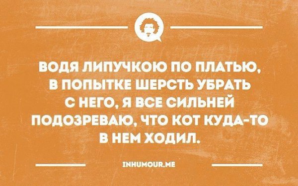   - 24  2016  02:11