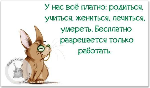   - 17  2016  02:16