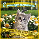 ���� �����, �����-��������� - ��������� 16 ������ 2015 � ������ �������� ��������