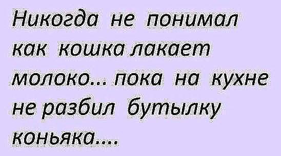 ��� ���� - 6 ����� 2016 � 23:03