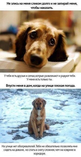   . - 3