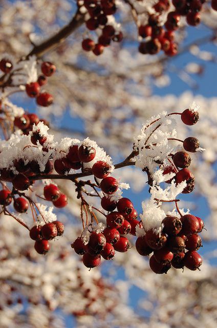   - 19  2015  10:04 - 4