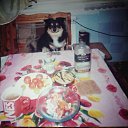 ���� ���������, �����-���������, 68 ��� - ��������� 21 ������� 2016