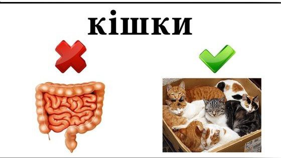 Смешные украинские слова: Зажигалка-спалахуйка Бабочка - залупівка Лифт - міжповерховий дротохід ...