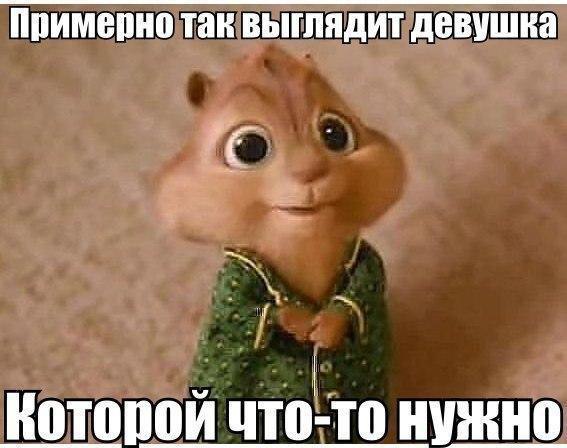    :D - 11  2016  16:08