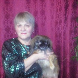 ���� �������, �������, 72 ���� - ��������� 22 ������� 2016