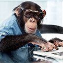 ���� ˸�����, �������, 62 ���� - ��������� 19 ������ 2016 � ������ ���� ����������