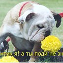  Sergey, , 61  -  14  2015
