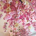 ���� ��������� ���������, ��������� - ��������� 22 ������� 2016 � ������ ���� ����������