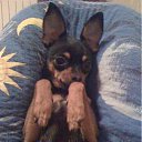 ���� ������, ����������, 70 ��� - ��������� 6 ����� 2016 � ������ ���-���������