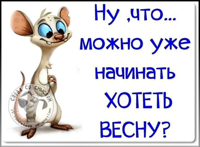 Vladimir Lyakh - 19  2016  13:25